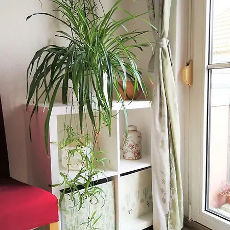 Quiet City-Apt, 4Min City-Center, 18Min Fair Nuernberg!!! Buitenkant foto