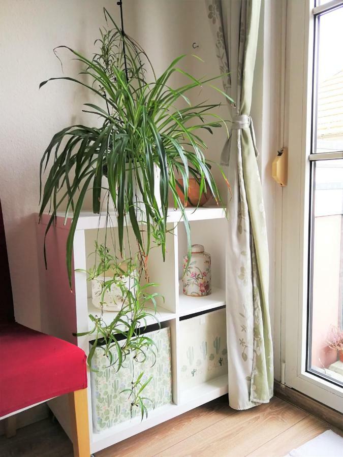 Quiet City-apt, 4min City-center, 18min Fair Nuernberg!!! * Nuremberg